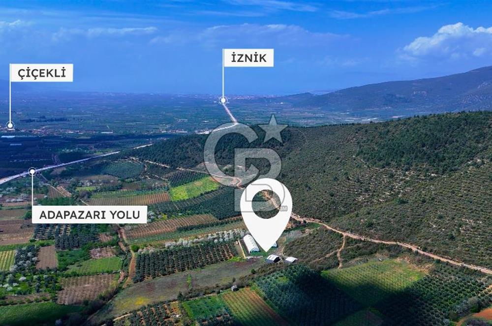 İznik Çiçek'lide Yatırıma Hazır 6.333 m² Tam Donanımlı Çiftlik