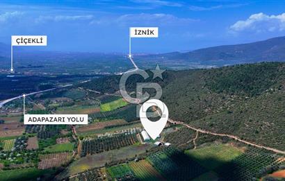 İznik Çiçek'lide Yatırıma Hazır 6.333 m² Tam Donanımlı Çiftlik