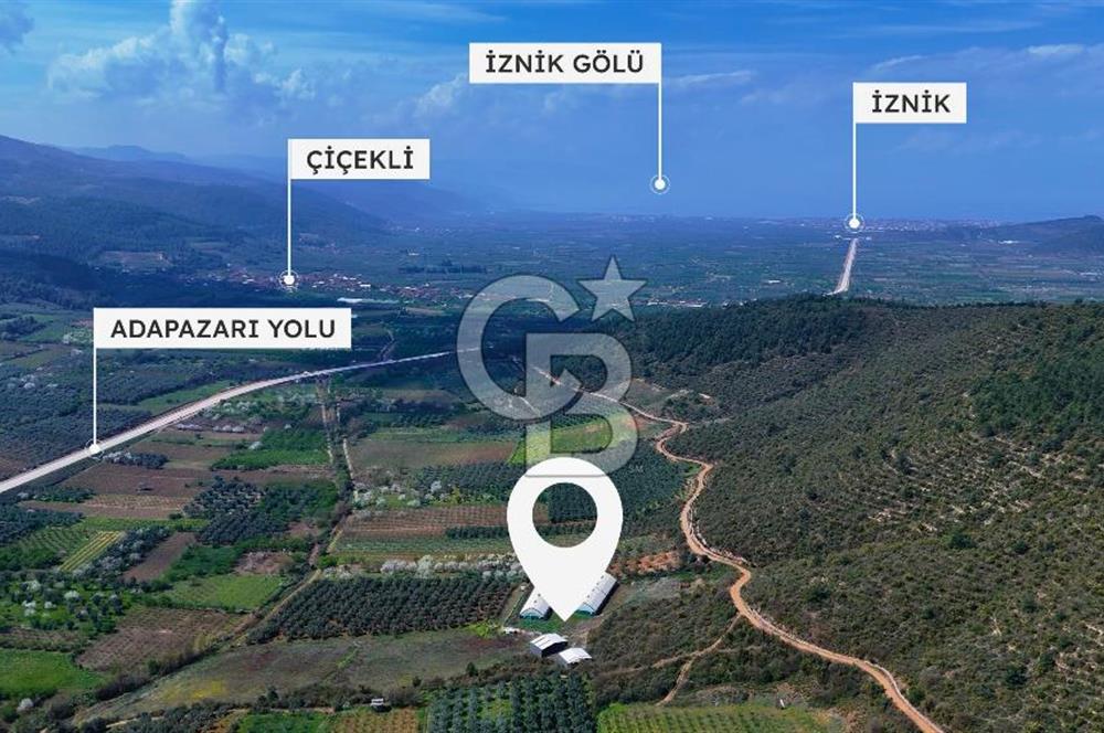 İznik Çiçek'lide Yatırıma Hazır 6.333 m² Tam Donanımlı Çiftlik
