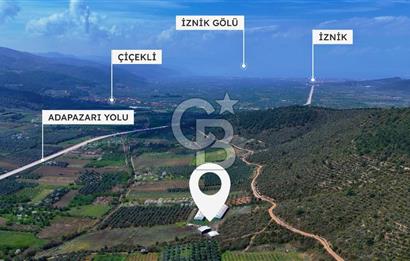 İznik Çiçek'lide Yatırıma Hazır 6.333 m² Tam Donanımlı Çiftlik