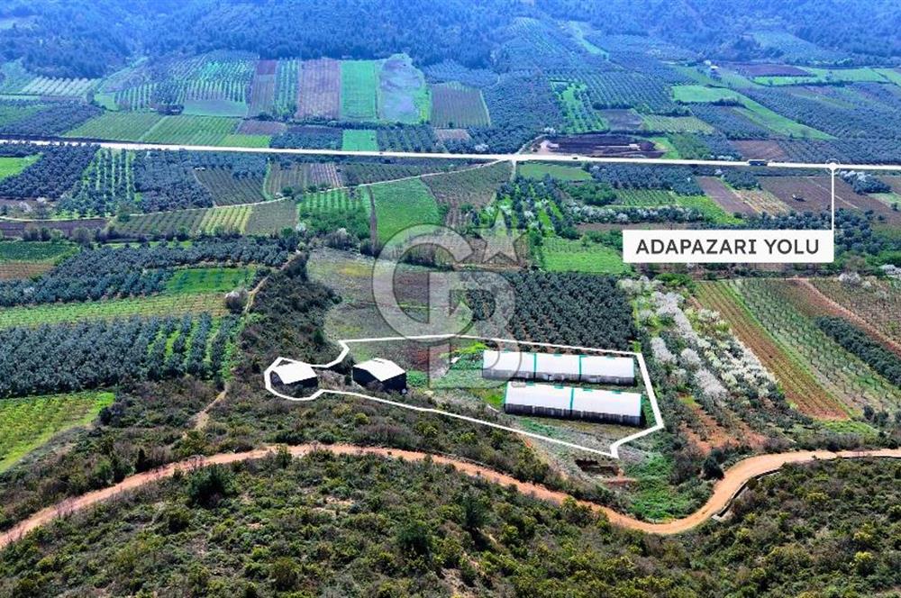 İznik Çiçek'lide Yatırıma Hazır 6.333 m² Tam Donanımlı Çiftlik