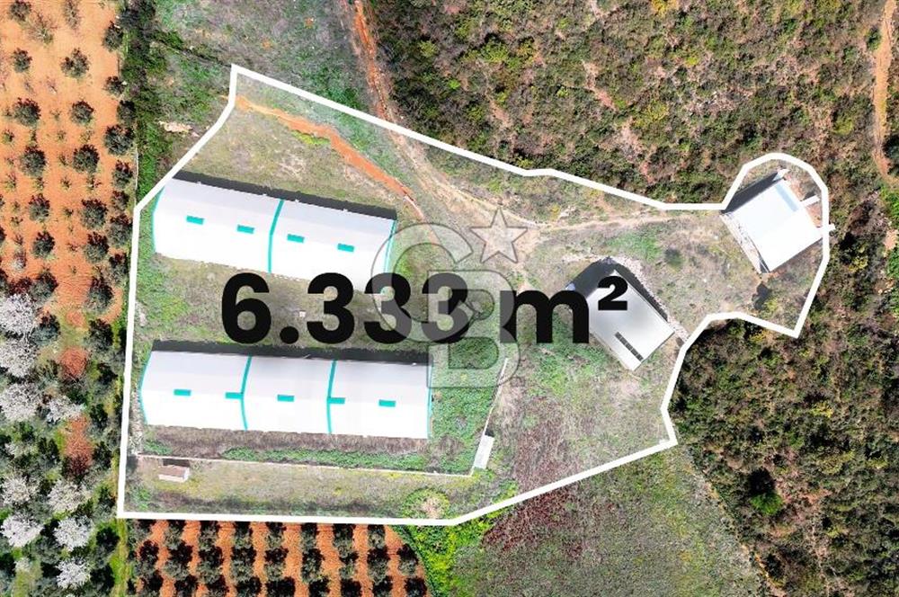 İznik Çiçek'lide Yatırıma Hazır 6.333 m² Tam Donanımlı Çiftlik