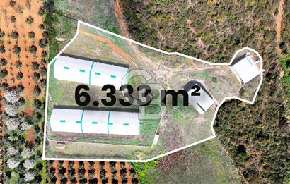 İznik Çiçek'lide Yatırıma Hazır 6.333 m² Tam Donanımlı Çiftlik