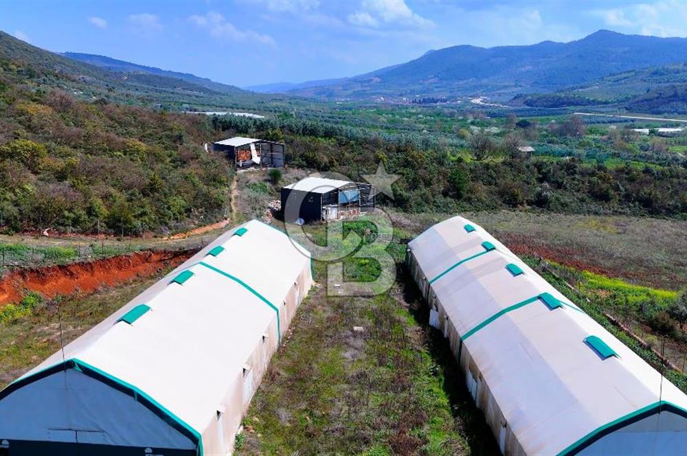 İznik Çiçek'lide Yatırıma Hazır 6.333 m² Tam Donanımlı Çiftlik