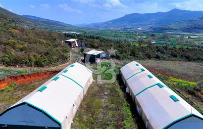 İznik Çiçek'lide Yatırıma Hazır 6.333 m² Tam Donanımlı Çiftlik