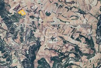  MANISA DEMİRCİ GÜMELE 24 DÖNÜM TARLA - 10 - 340402