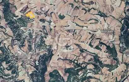  MANISA DEMİRCİ GÜMELE 24 DÖNÜM TARLA