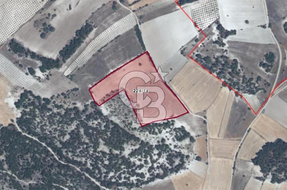  MANISA DEMİRCİ GÜMELE 24 DÖNÜM TARLA