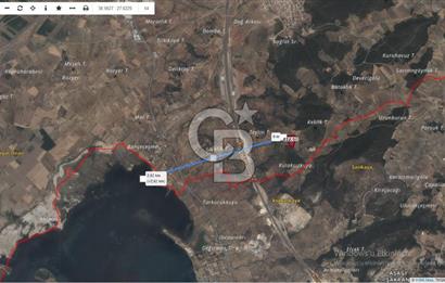 BERGAMA ZEYTİNDAĞDA SATILIK ZEYTİNLİK