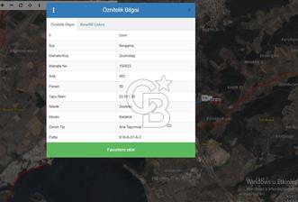BERGAMA ZEYTİNDAĞDA SATILIK ZEYTİNLİK - 7 - 340375