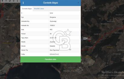 BERGAMA ZEYTİNDAĞDA SATILIK ZEYTİNLİK
