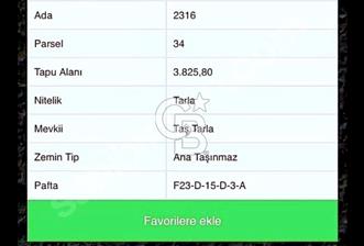 Şile Karabeyli de Yatırım fırsatı 870 m2 Arsa - 2 - 340395