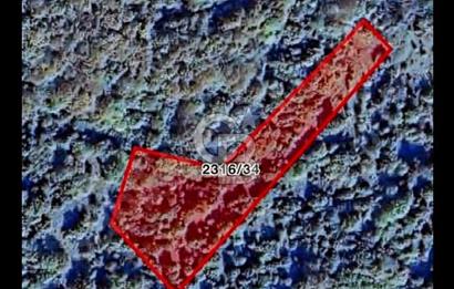 Şile Karabeyli de Yatırım fırsatı 870 m2 Arsa