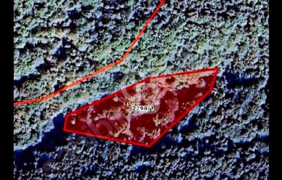 Şile Karabeyli 1200 m2 arsa