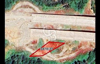 Şile kabakoz yatırm fırsatı 240 m2 müstakil parsel