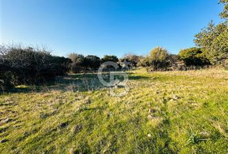 ALİAĞA HACIÖMERLİDE MÜSTAKİL TAPULU SATILIK YATIRIMA UYGUN TARLA - 6 - 340537