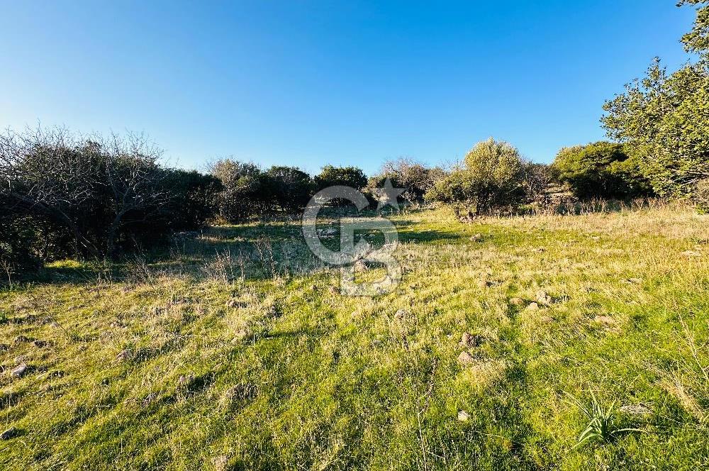 ALİAĞA HACIÖMERLİDE MÜSTAKİL TAPULU SATILIK YATIRIMA UYGUN TARLA