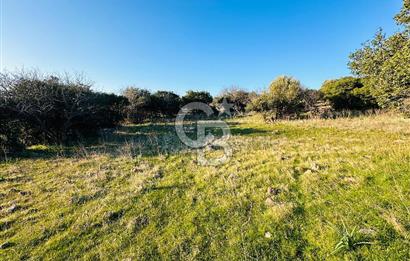 ALİAĞA HACIÖMERLİDE MÜSTAKİL TAPULU SATILIK YATIRIMA UYGUN TARLA