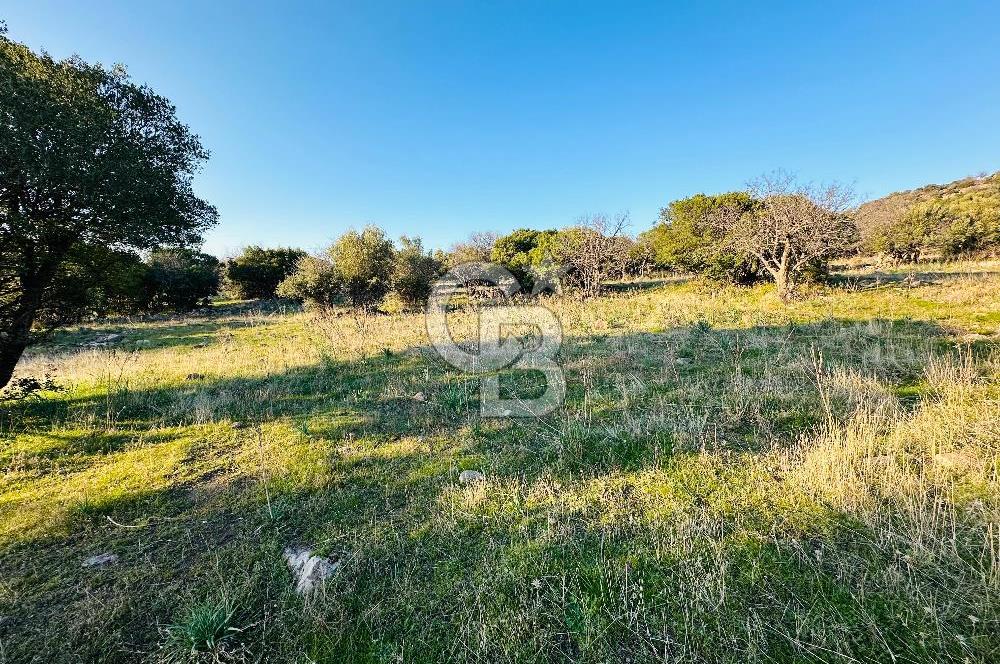 ALİAĞA HACIÖMERLİDE MÜSTAKİL TAPULU SATILIK YATIRIMA UYGUN TARLA