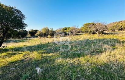 ALİAĞA HACIÖMERLİDE MÜSTAKİL TAPULU SATILIK YATIRIMA UYGUN TARLA