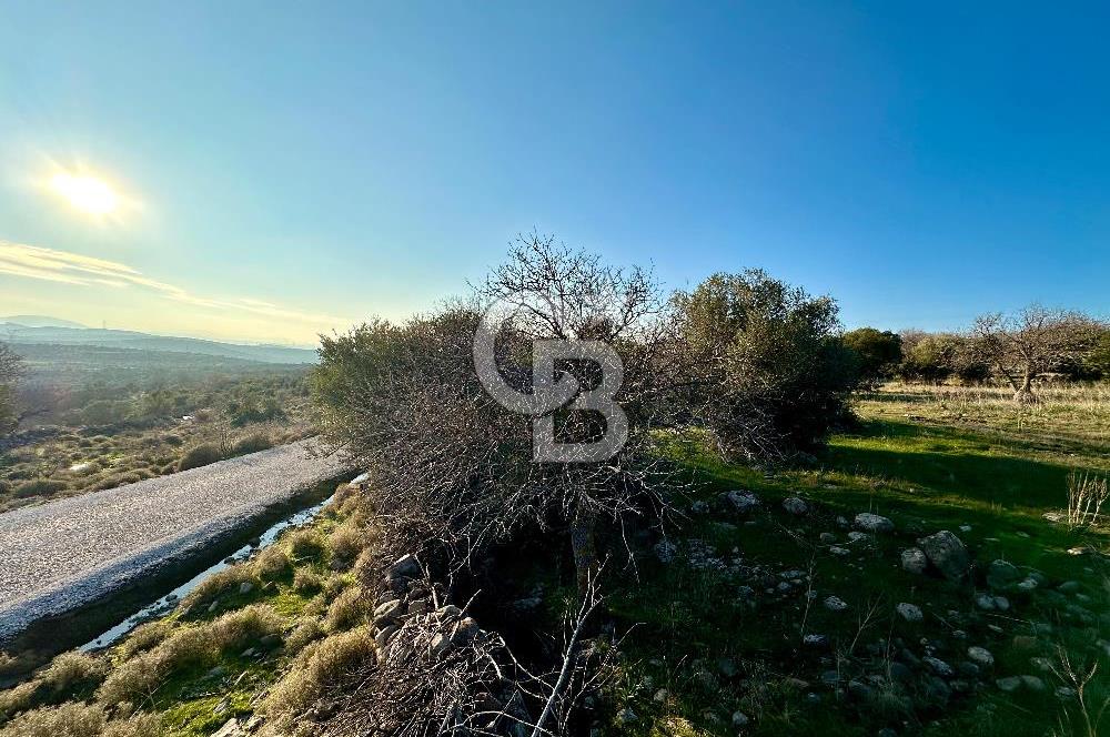 ALİAĞA HACIÖMERLİDE MÜSTAKİL TAPULU SATILIK YATIRIMA UYGUN TARLA