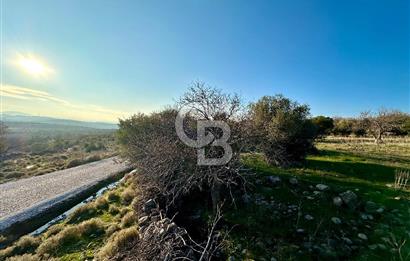 ALİAĞA HACIÖMERLİDE MÜSTAKİL TAPULU SATILIK YATIRIMA UYGUN TARLA