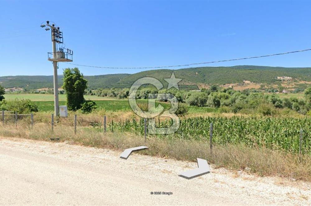 KARACABEY / AKÇASUSURLUK'TA 124 DÖNÜM SATILIK ARAZİ