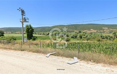 KARACABEY / AKÇASUSURLUK'TA 124 DÖNÜM SATILIK ARAZİ