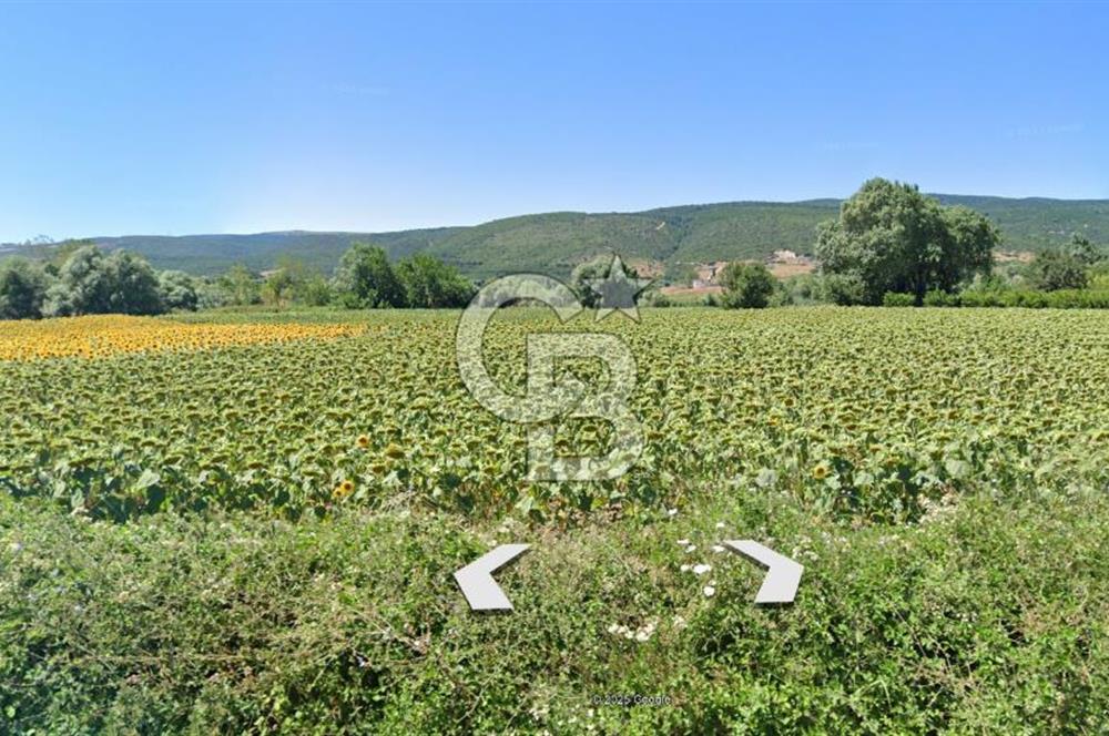 KARACABEY / AKÇASUSURLUK'TA 124 DÖNÜM SATILIK ARAZİ