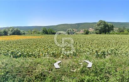 KARACABEY / AKÇASUSURLUK'TA 124 DÖNÜM SATILIK ARAZİ