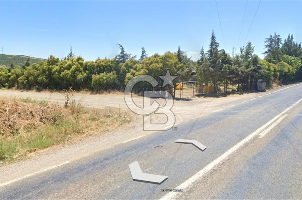 KARACABEY / AKÇASUSURLUK'TA 124 DÖNÜM SATILIK ARAZİ