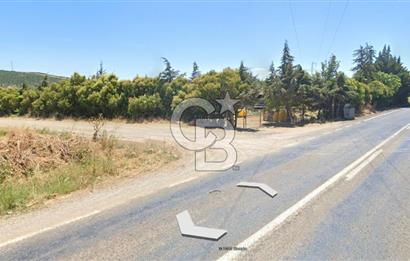KARACABEY / AKÇASUSURLUK'TA 124 DÖNÜM SATILIK ARAZİ