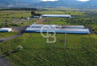 GÜZELHİSARDA 454m2 SATILIK TARLA - 2 - 340451