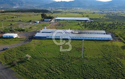 GÜZELHİSARDA 454m2 SATILIK TARLA