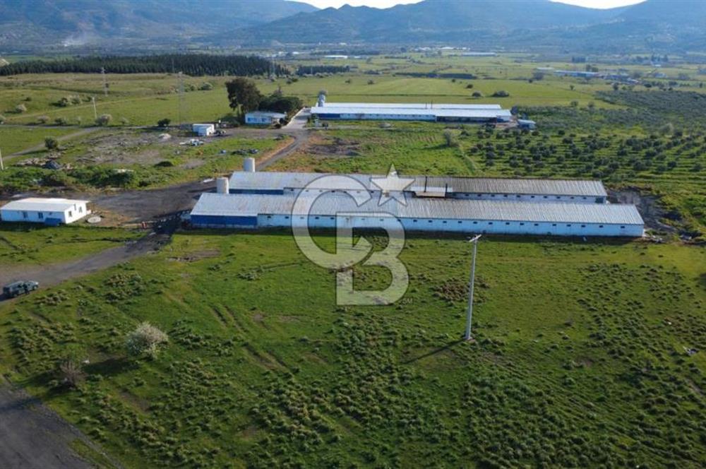 GÜZELHİSARDA 454m2 SATILIK TARLA