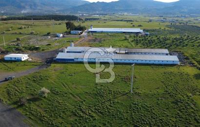 GÜZELHİSARDA 454m2 SATILIK TARLA