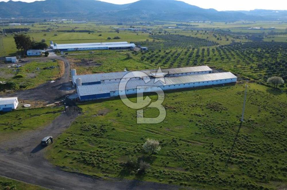 GÜZELHİSARDA 454m2 SATILIK TARLA