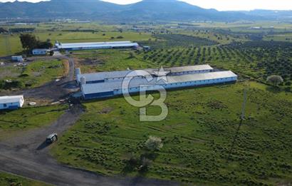 GÜZELHİSARDA 454m2 SATILIK TARLA