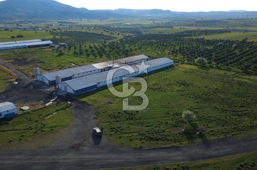 GÜZELHİSARDA 454m2 SATILIK TARLA