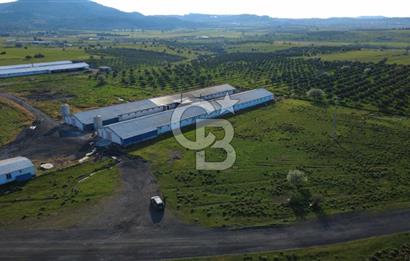 GÜZELHİSARDA 454m2 SATILIK TARLA