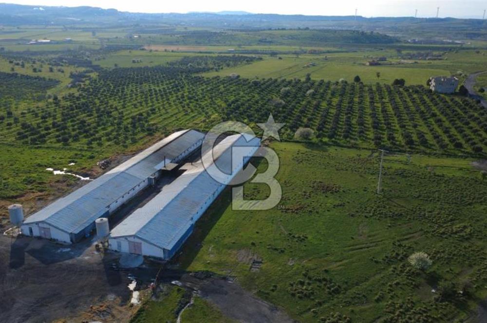 GÜZELHİSARDA 454m2 SATILIK TARLA