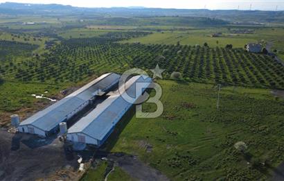 GÜZELHİSARDA 454m2 SATILIK TARLA