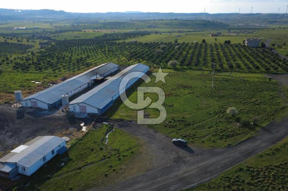 GÜZELHİSARDA 454m2 SATILIK TARLA