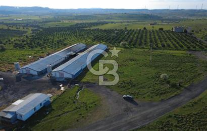 GÜZELHİSARDA 454m2 SATILIK TARLA