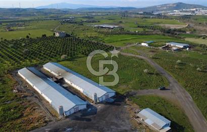 GÜZELHİSARDA 454m2 SATILIK TARLA