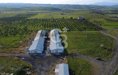 GÜZELHİSARDA 454m2 SATILIK TARLA