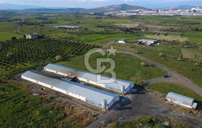 GÜZELHİSARDA 454m2 SATILIK TARLA