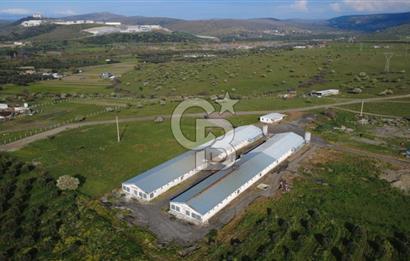 GÜZELHİSARDA 454m2 SATILIK TARLA