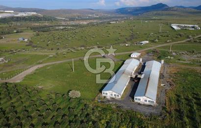 GÜZELHİSARDA 454m2 SATILIK TARLA