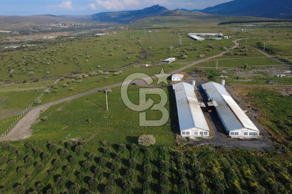 GÜZELHİSARDA 454m2 SATILIK TARLA